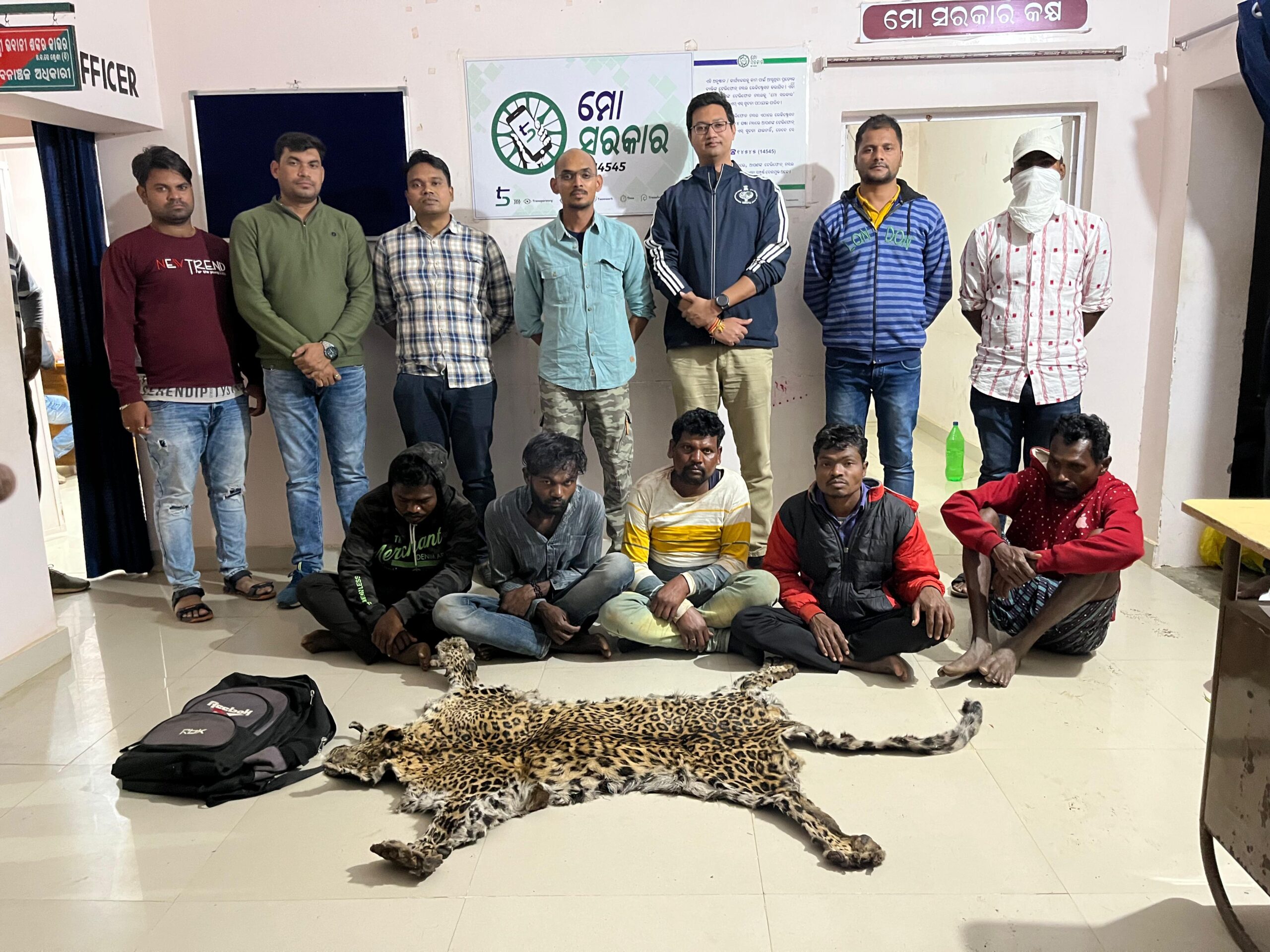 ଆମପାଣି ଘାଟିରେ ବାଘ ଛାଲ ଜବତ ଛଅ ଅଭିଯୁକ୍ତ ଗିରଫ