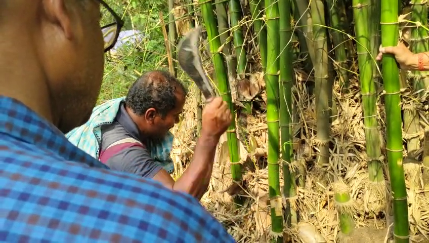 ନ୍ୟୁଉ ଇଣ୍ଡିଆ ଦ୍ୱାରା ବାଉଁଶ କାରୀଗରଙ୍କୁ ପ୍ରଶିକ୍ଷଣ