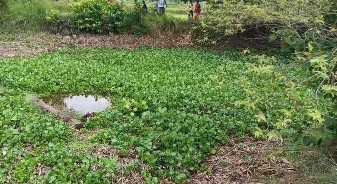 ପୋଖରୀ ଭିତରୁ ଘୁ ଘୁ ଗର୍ଜନ.. ଲୋକେ ଭୟଭୀତ